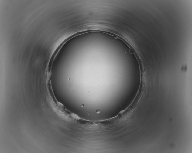 X0000112060891200908041212