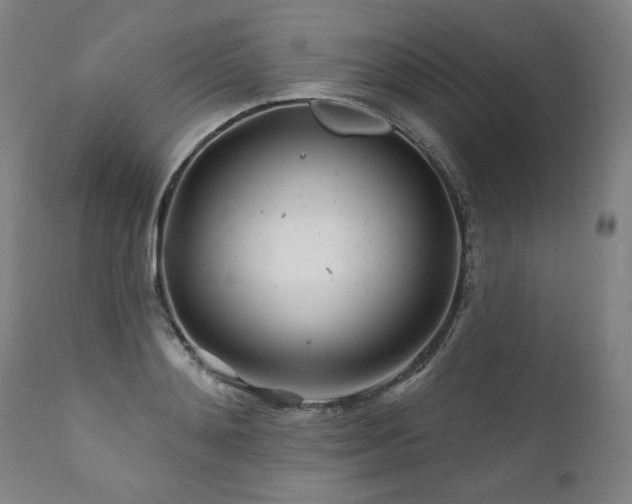 X0000112060892200908041212