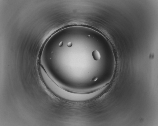 X0000112060893200908041212
