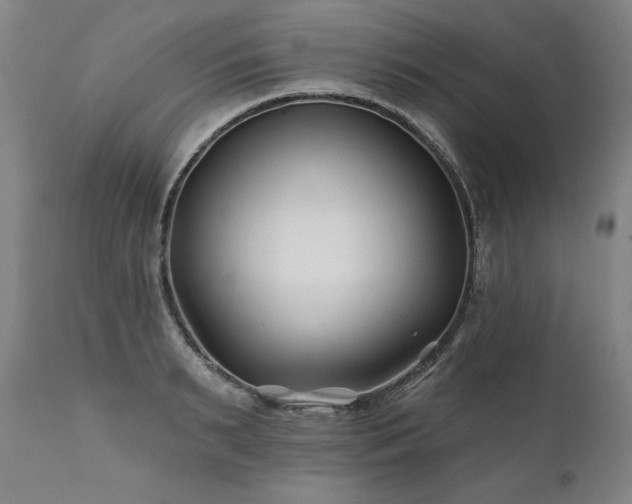 X0000112060895200908041212