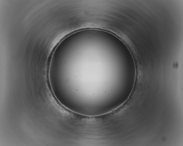 X0000112060896200908041212