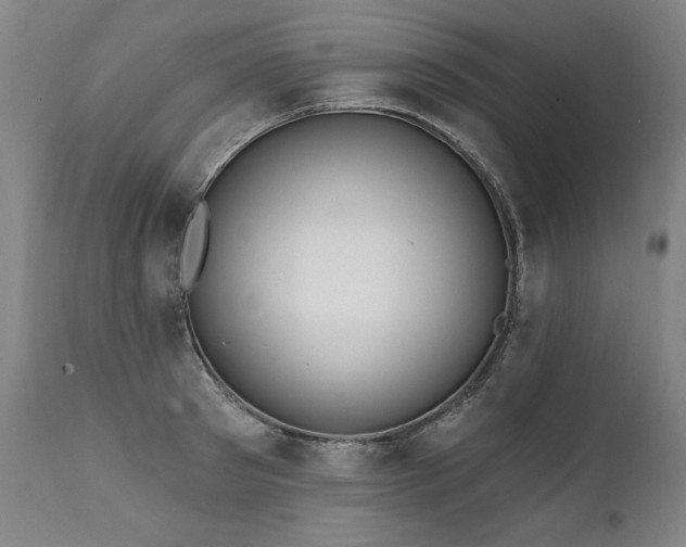 X0000112060897200908041212