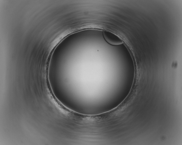 X0000112060898200908041212
