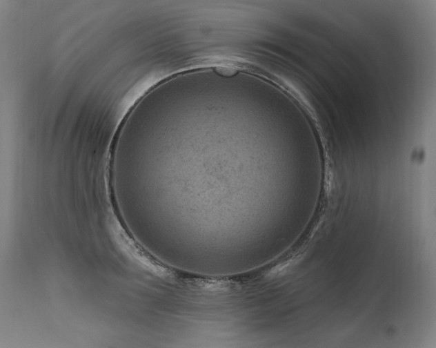 X0000112060899200908041212