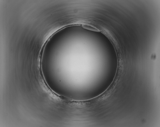 X0000112060900200908041212