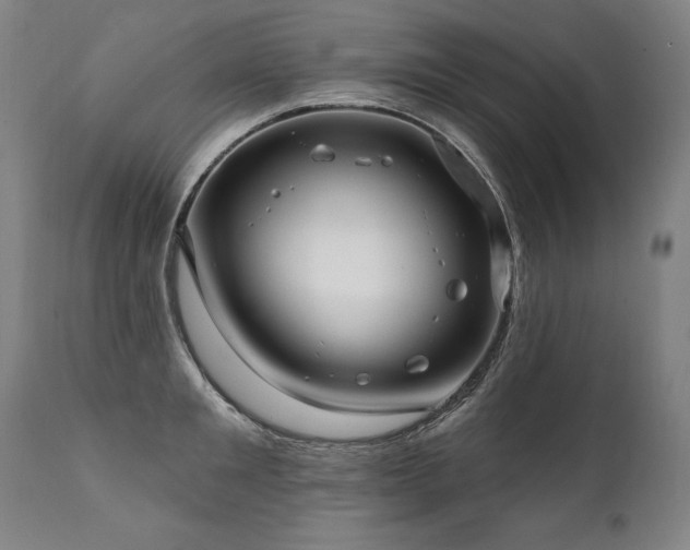 X0000112060901200908041212