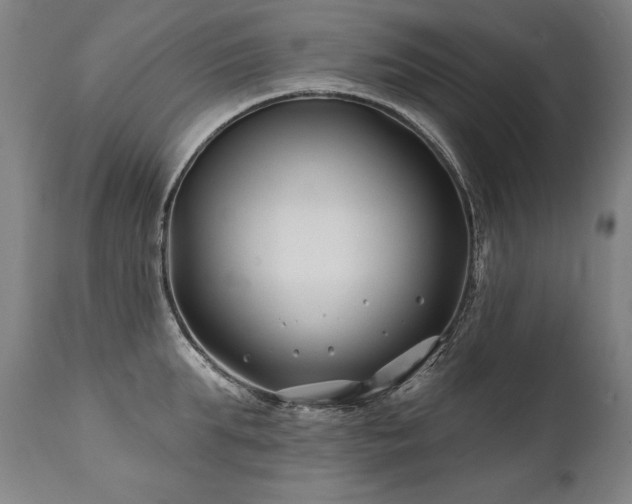 X0000112060903200908041212