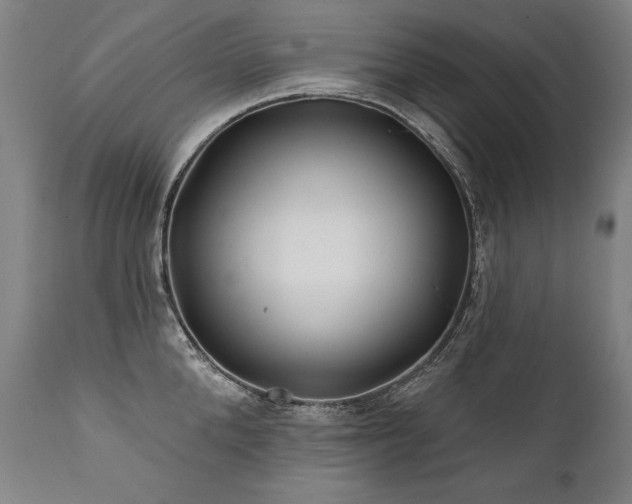 X0000112060904200908041212