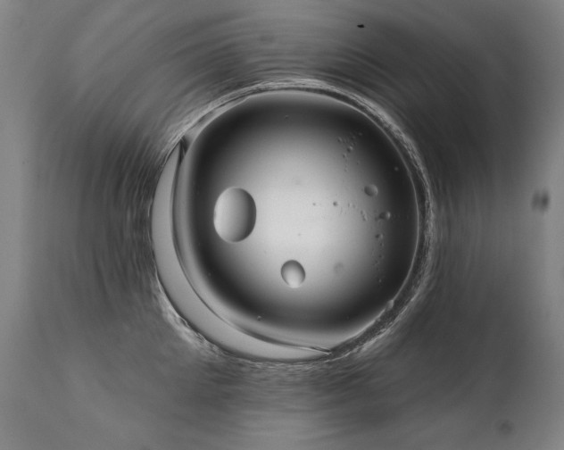 X0000112060905200908041212