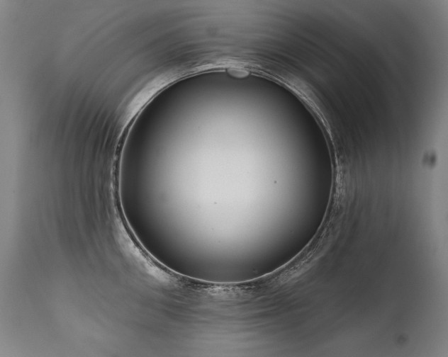 X0000112060906200908041212