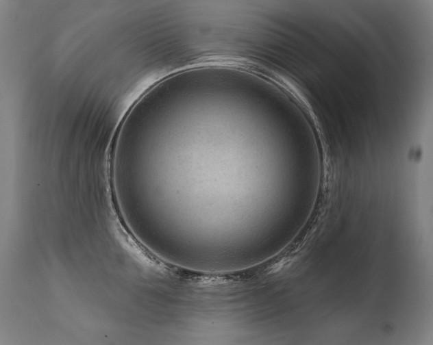 X0000112060907200908041212