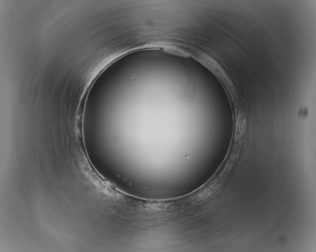 X0000112060908200908041212