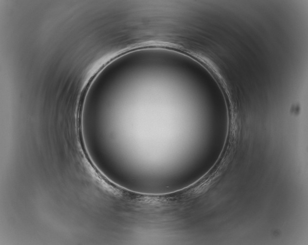 X0000112060910200908041212