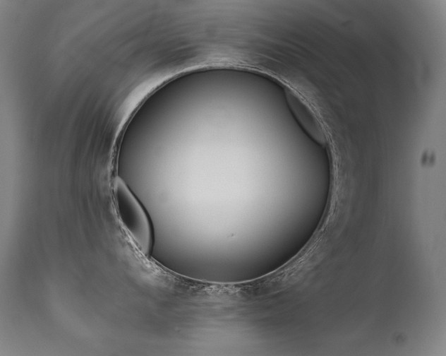 X0000112060912200908041212