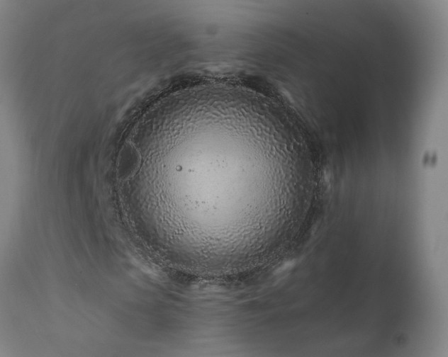 X0000112060913200908041211
