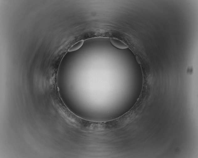 X0000112060914200908041211