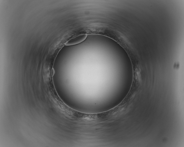 X0000112060915200908041211