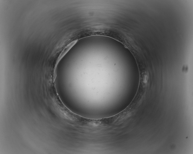 X0000112060916200908041211