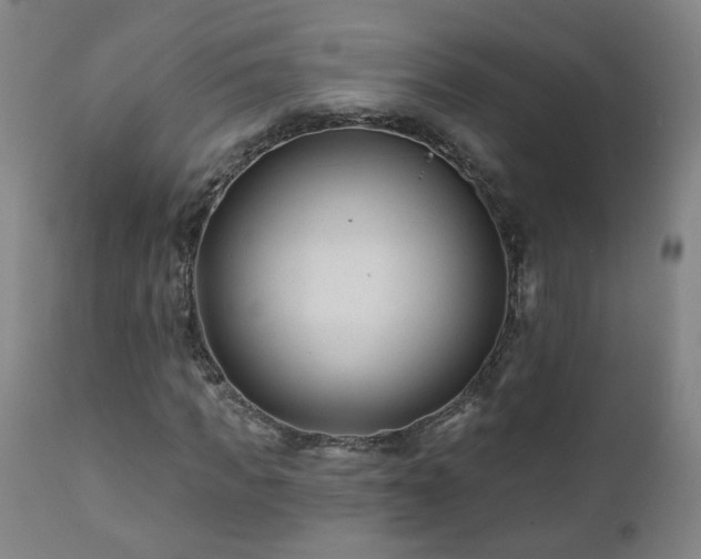 X0000112060917200908041211