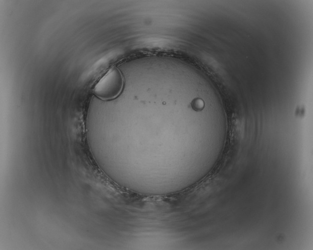 X0000112060918200908041211