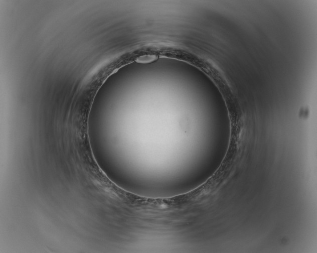 X0000112060919200908041211
