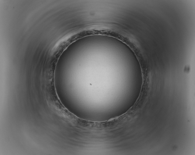 X0000112060920200908041211