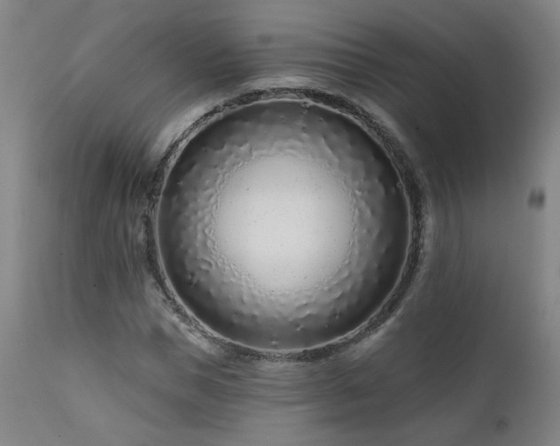 X0000112060921200908041211