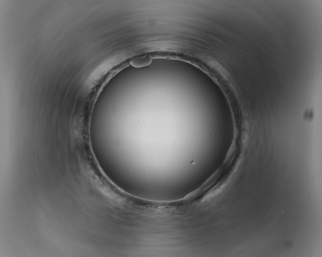 X0000112060922200908041211