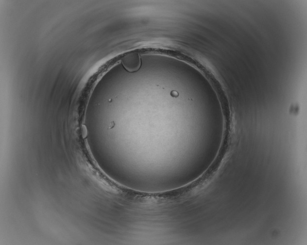 X0000112060923200908041211