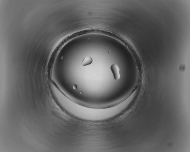 X0000112060924200908041211
