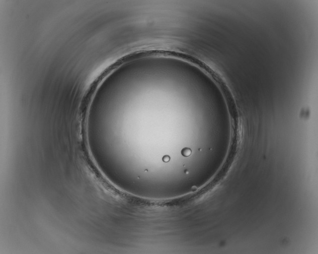 X0000112060925200908041211
