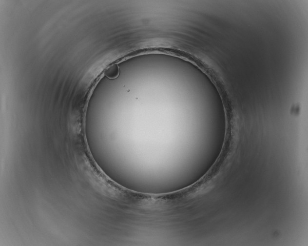 X0000112060929200908041211