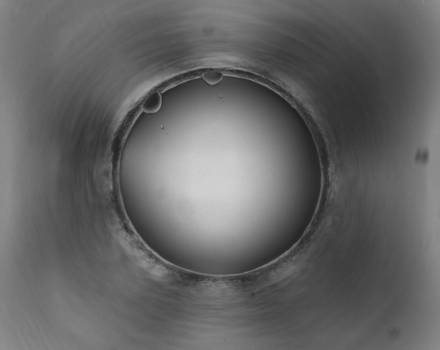 X0000112060931200908041211