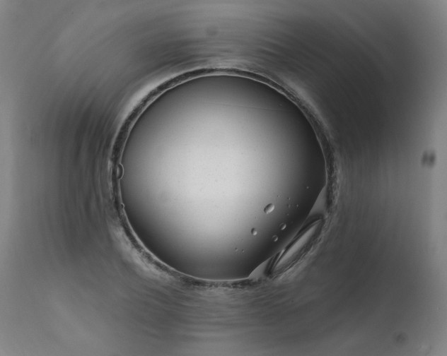 X0000112060932200908041211