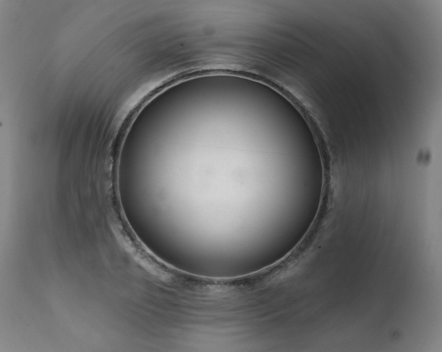 X0000112060933200908041211