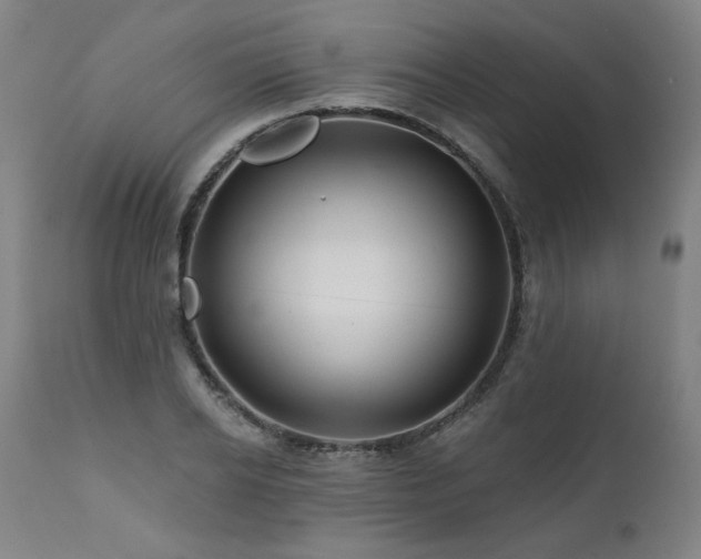 X0000112060934200908041211
