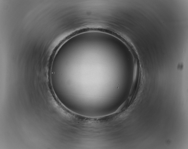 X0000112060935200908041211