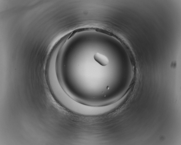 X0000112060936200908041211