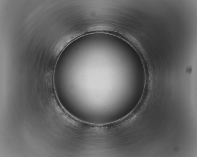 X0000112060937200908041211