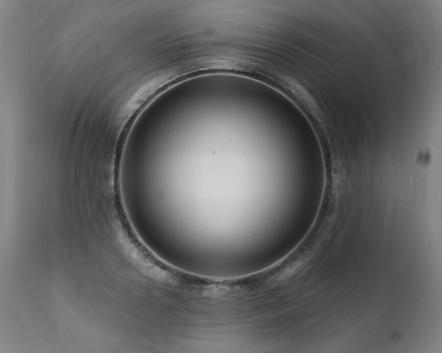 X0000112060938200908041211