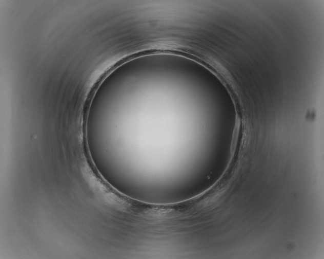 X0000112060939200908041211