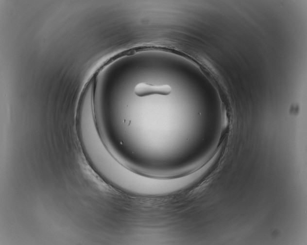 X0000112060940200908041211