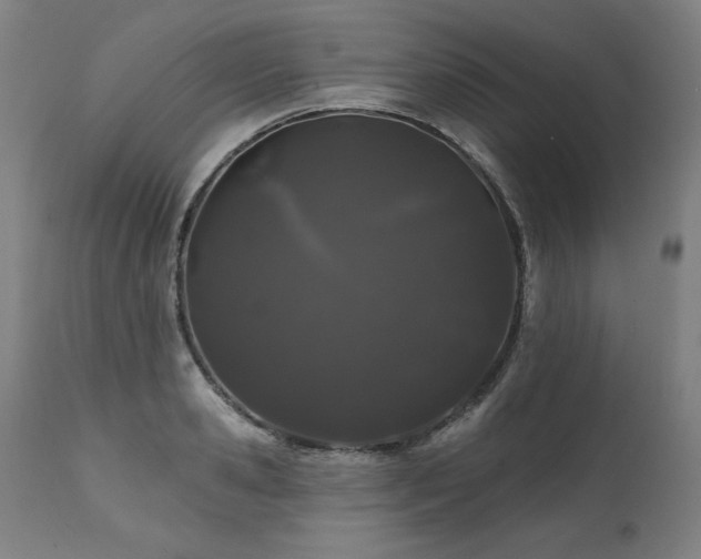 X0000112060941200908041211