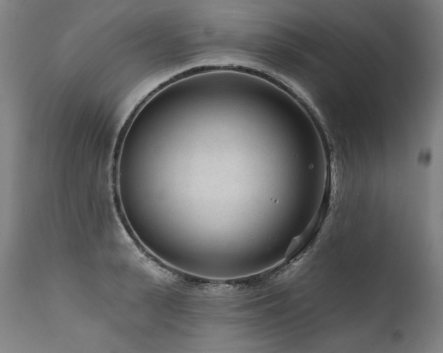 X0000112060943200908041211