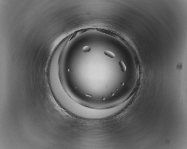 X0000112060944200908041211