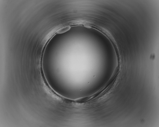 X0000112060946200908041211