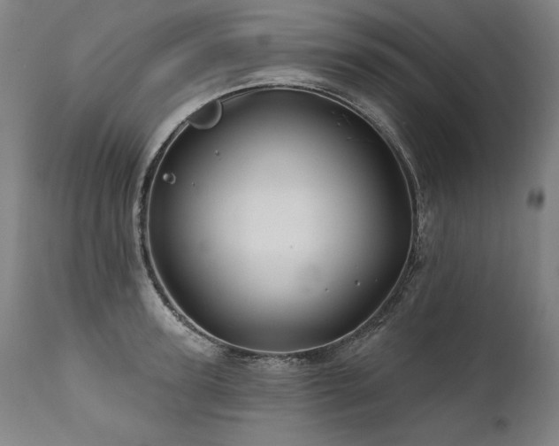 X0000112060947200908041211