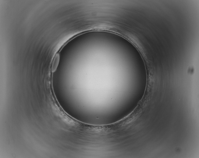 X0000112060948200908041211