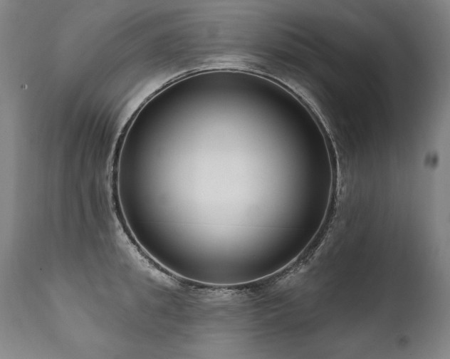 X0000112060949200908041211