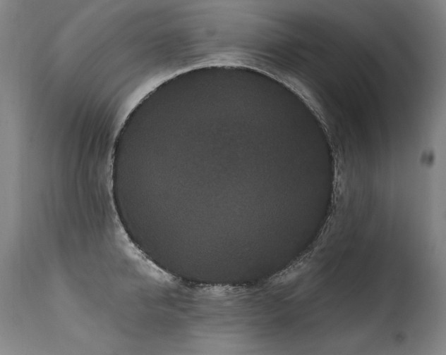 X0000112060950200908041212